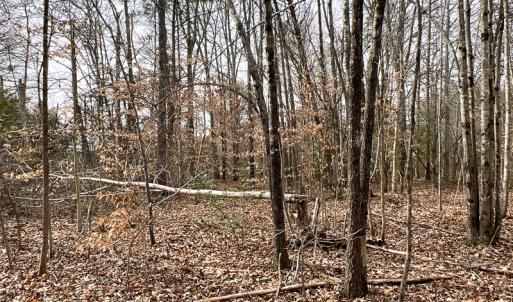 Photo #56 of 9609 Catharpin Road, Spotsylvania, VA 18.1 acres
