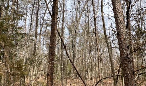 Photo #57 of 9609 Catharpin Road, Spotsylvania, VA 18.1 acres