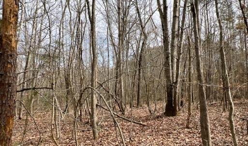 Photo #58 of 9609 Catharpin Road, Spotsylvania, VA 18.1 acres
