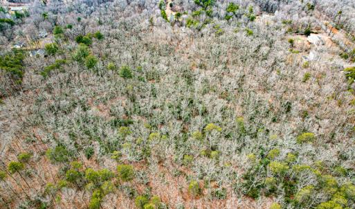 Photo #59 of 9609 Catharpin Road, Spotsylvania, VA 18.1 acres