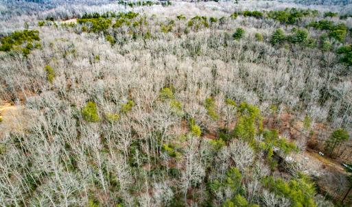 Photo #64 of 9609 Catharpin Road, Spotsylvania, VA 18.1 acres