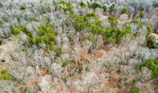 Photo #65 of 9609 Catharpin Road, Spotsylvania, VA 18.1 acres