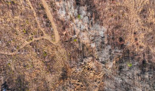 Photo #4 of James Avenue, Roxboro, NC 9.9 acres