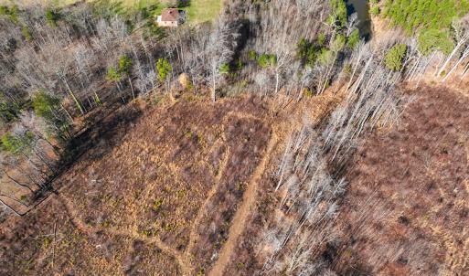 Photo #5 of James Avenue, Roxboro, NC 9.9 acres