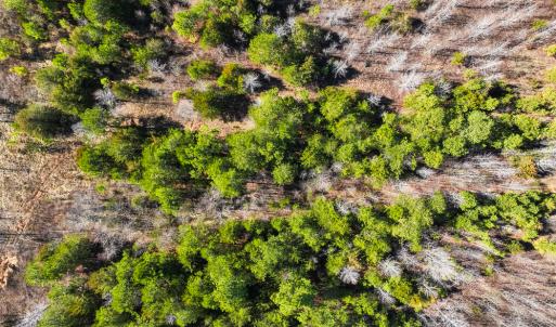 Photo #9 of Off Glendale Lane Lots 6, 6A, 7, 7A, Roxboro, NC 8.4 acres