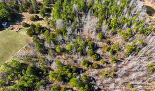 Photo #15 of Off Glendale Lane Lots 7 & 7A, Roxboro, NC 3.8 acres