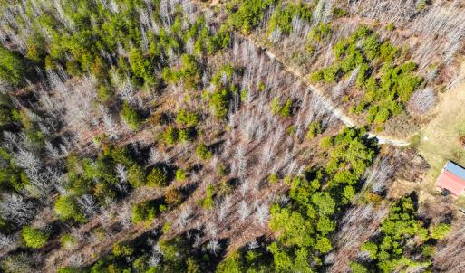 Photo #22 of Off Glendale Lane Lots 7 & 7A, Roxboro, NC 3.8 acres