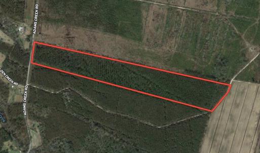 Photo #1 of SOLD property in Off Adams Creek Rd, Havelock, NC 43.1 acres