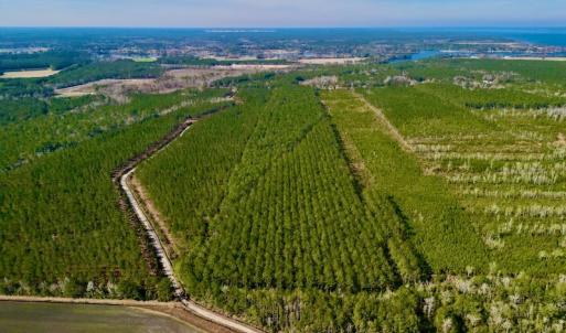 Photo #11 of SOLD property in Off Adams Creek Rd, Havelock, NC 43.1 acres