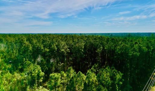 Photo #12 of SOLD property in Off Adams Creek Rd, Havelock, NC 43.1 acres
