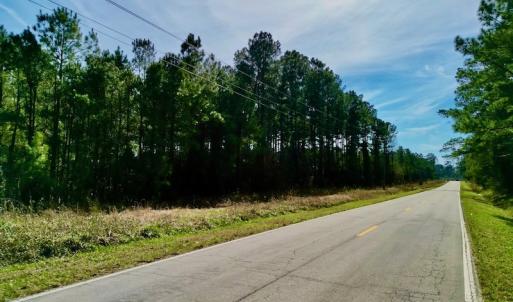 Photo #18 of SOLD property in Off Adams Creek Rd, Havelock, NC 43.1 acres