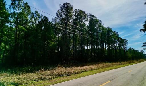 Photo #19 of SOLD property in Off Adams Creek Rd, Havelock, NC 43.1 acres