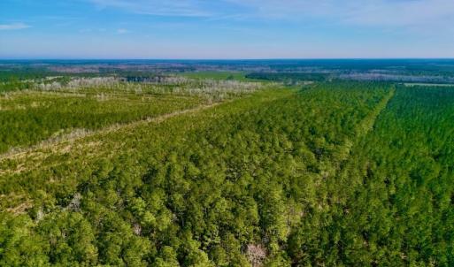 Photo #3 of SOLD property in Off Adams Creek Rd, Havelock, NC 43.1 acres