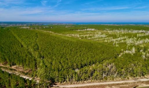 Photo #5 of SOLD property in Off Adams Creek Rd, Havelock, NC 43.1 acres