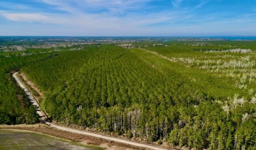 Photo #6 of SOLD property in Off Adams Creek Rd, Havelock, NC 43.1 acres