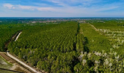Photo #7 of SOLD property in Off Adams Creek Rd, Havelock, NC 43.1 acres
