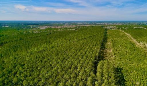 Photo #9 of SOLD property in Off Adams Creek Rd, Havelock, NC 43.1 acres