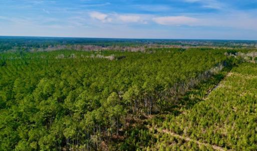Photo #10 of SOLD property in Off Adams Creek Rd, Havelock, NC 43.1 acres