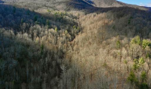 Photo #2 of Off Adventure Mountain Trail , Montvale, VA 216.9 acres