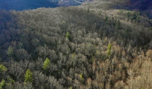 Photo #3 of Off Adventure Mountain Trail , Montvale, VA 216.9 acres