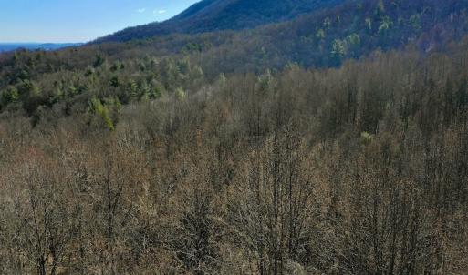 Photo #4 of Off Adventure Mountain Trail , Montvale, VA 216.9 acres