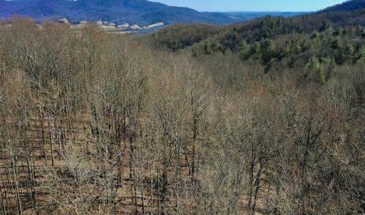 Photo #5 of Off Adventure Mountain Trail , Montvale, VA 216.9 acres