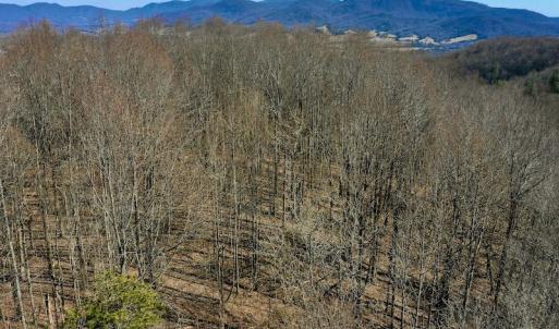 Photo #6 of Off Adventure Mountain Trail , Montvale, VA 216.9 acres