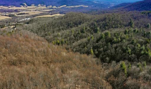 Photo #7 of Off Adventure Mountain Trail , Montvale, VA 216.9 acres