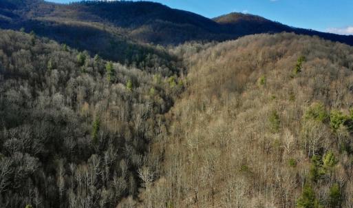 Photo #8 of Off Adventure Mountain Trail , Montvale, VA 216.9 acres