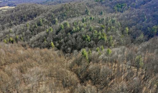 Photo #9 of Off Adventure Mountain Trail , Montvale, VA 216.9 acres