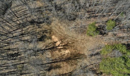 Photo #10 of Off Adventure Mountain Trail , Montvale, VA 216.9 acres