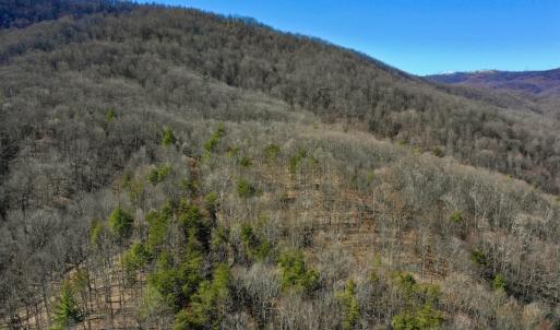 Photo #11 of Off Adventure Mountain Trail , Montvale, VA 216.9 acres