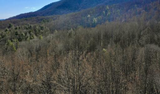 Photo #12 of Off Adventure Mountain Trail , Montvale, VA 216.9 acres