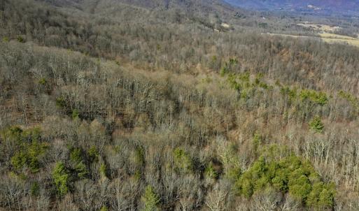 Photo #13 of Off Adventure Mountain Trail , Montvale, VA 216.9 acres