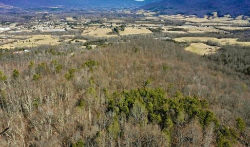 Photo #15 of Off Adventure Mountain Trail , Montvale, VA 216.9 acres