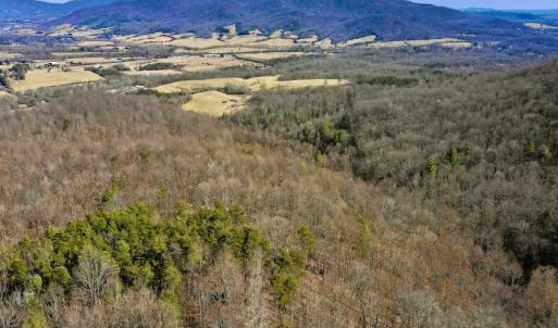 Photo #16 of Off Adventure Mountain Trail , Montvale, VA 216.9 acres