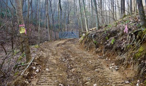 Photo #18 of Off Adventure Mountain Trail , Montvale, VA 216.9 acres