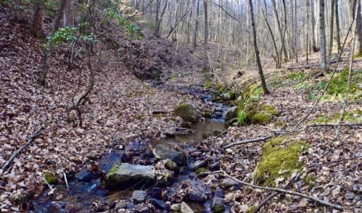 Photo #20 of Off Adventure Mountain Trail , Montvale, VA 216.9 acres