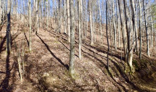 Photo #21 of Off Adventure Mountain Trail , Montvale, VA 216.9 acres