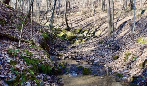 Photo #22 of Off Adventure Mountain Trail , Montvale, VA 216.9 acres
