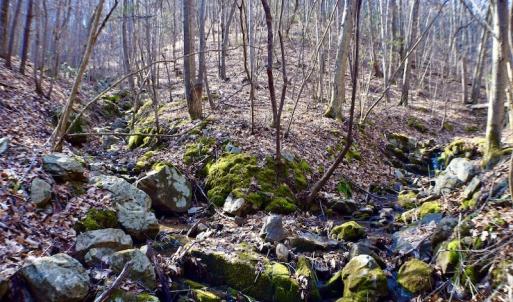 Photo #23 of Off Adventure Mountain Trail , Montvale, VA 216.9 acres
