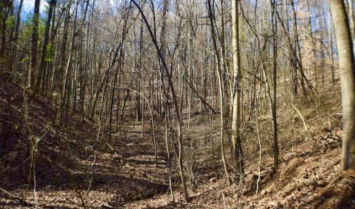 Photo #25 of Off Adventure Mountain Trail , Montvale, VA 216.9 acres