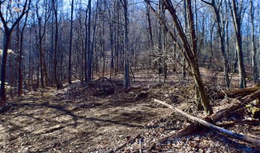 Photo #26 of Off Adventure Mountain Trail , Montvale, VA 216.9 acres