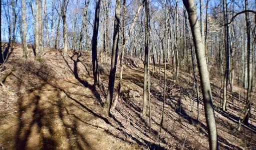 Photo #29 of Off Adventure Mountain Trail , Montvale, VA 216.9 acres