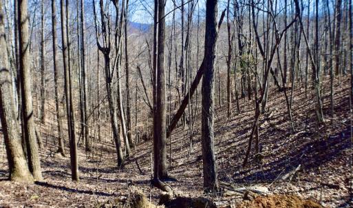 Photo #31 of Off Adventure Mountain Trail , Montvale, VA 216.9 acres