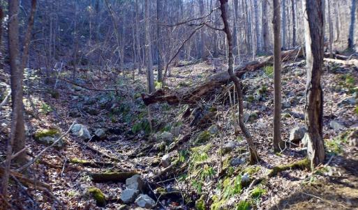 Photo #32 of Off Adventure Mountain Trail , Montvale, VA 216.9 acres