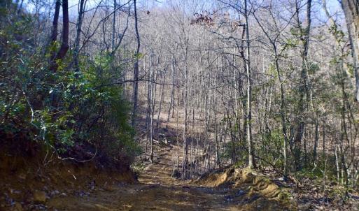 Photo #35 of Off Adventure Mountain Trail , Montvale, VA 216.9 acres