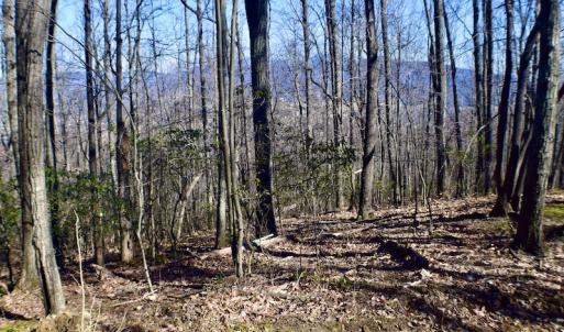 Photo #40 of Off Adventure Mountain Trail , Montvale, VA 216.9 acres