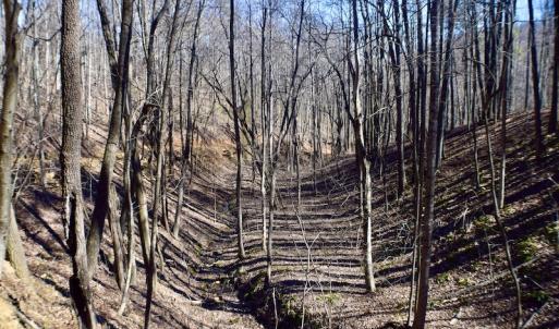 Photo #43 of Off Adventure Mountain Trail , Montvale, VA 216.9 acres