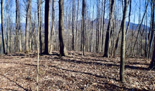 Photo #44 of Off Adventure Mountain Trail , Montvale, VA 216.9 acres